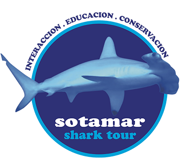 Sotamar Shark Tour