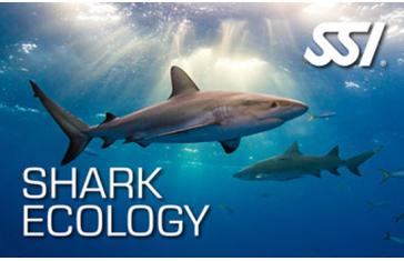 Écologie des Requins