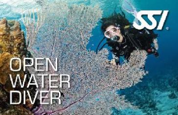 Open Water Diver privé (Max 2 élèves)
