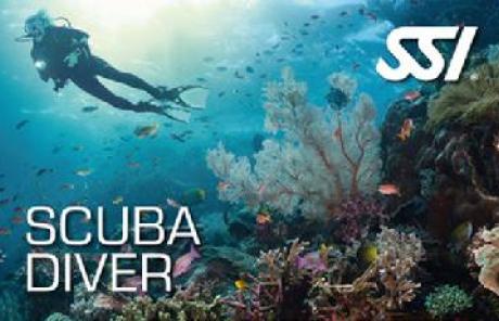 Scuba Diver standard